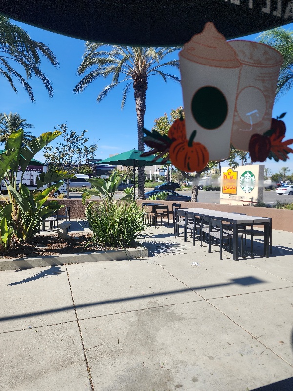 view from inside Tustin Starbucks looking out on to te patio and seating area. coffee decals with pumpkins on the window for decoration